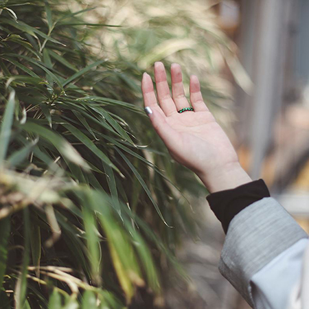 ��ǰ ������